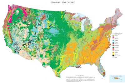 Dominant Soil Orders of the United States