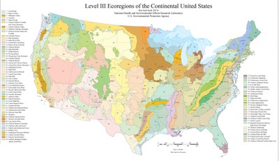 Level III Ecosystems of the Continental United States
